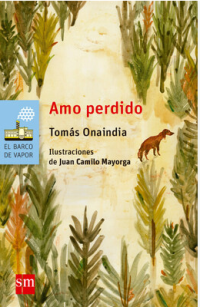 Image of Amo perdido