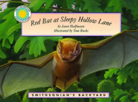 Image of Murciélago rojo en el sendero Sleepy Hollow